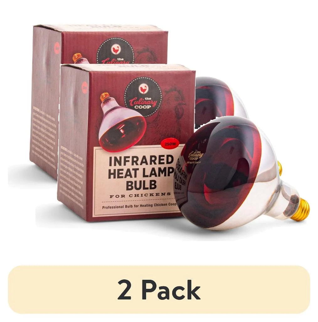 (2 Pack)  Culinary Coop Infrared Heat Lamp Glass Bulb 250 Watt