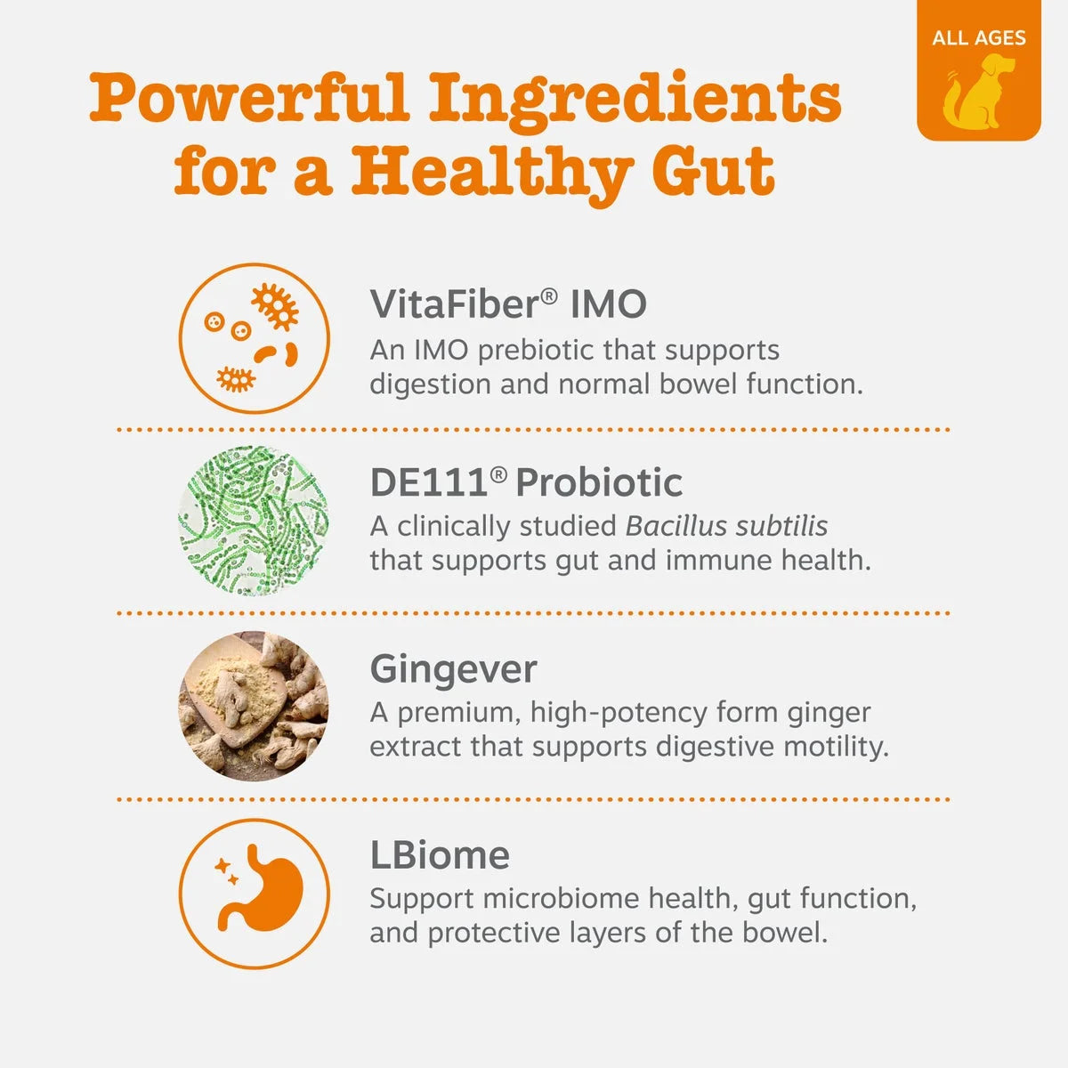 Vet Strength Pre, Post & Probiotic Bites for Dogs, Dog Supplement for Gut Health, 60 Count