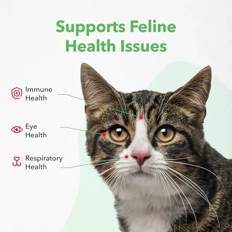 Viralys Gel L-Lysine Supplement for Cats, 5Oz - Cats & Kittens of All Ages - Immune Health - Sneezing, Runny Nose, Squinting, Watery Eyes - Palatable Maple Flavor Lysine Gel