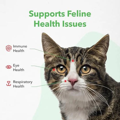 Viralys Gel L-Lysine Supplement for Cats, 5Oz - Cats & Kittens of All Ages - Immune Health - Sneezing, Runny Nose, Squinting, Watery Eyes - Palatable Maple Flavor Lysine Gel