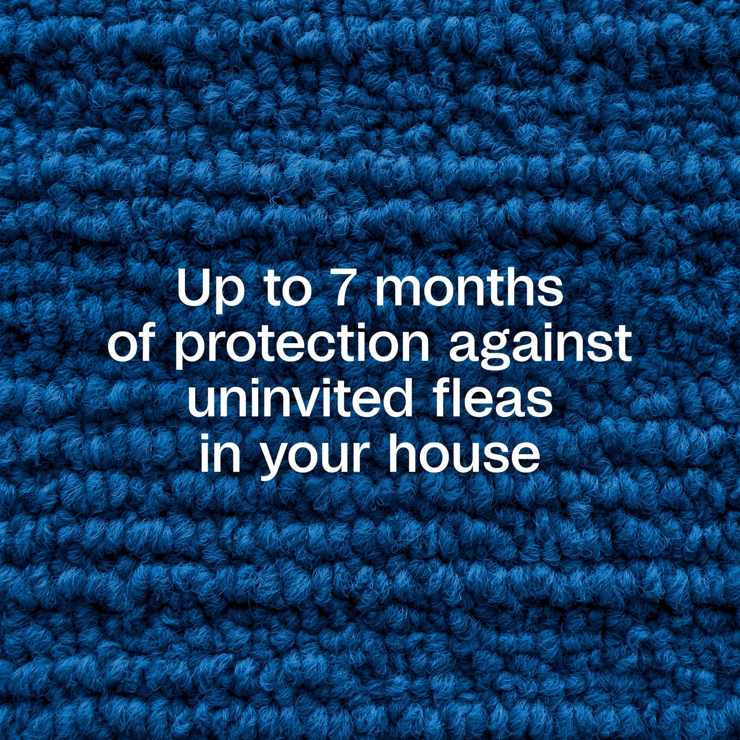 (4 Pack)  Flea & Tick Home Spray, Kills Fleas, Flea Eggs, Flea Larvae, Bed Bugs, Ticks, Ants (Except Carpenter, Harvester, Pharaoh and Fire Ants), Cockroaches, Spiders, & Mosquitoes in the Home, 24 Fl Oz