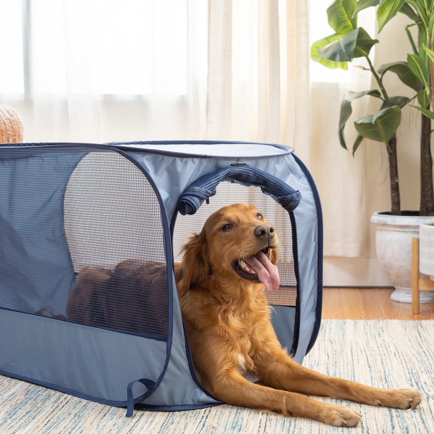 Soft-Sided Pop Open Dog Kennel, Blue, Large