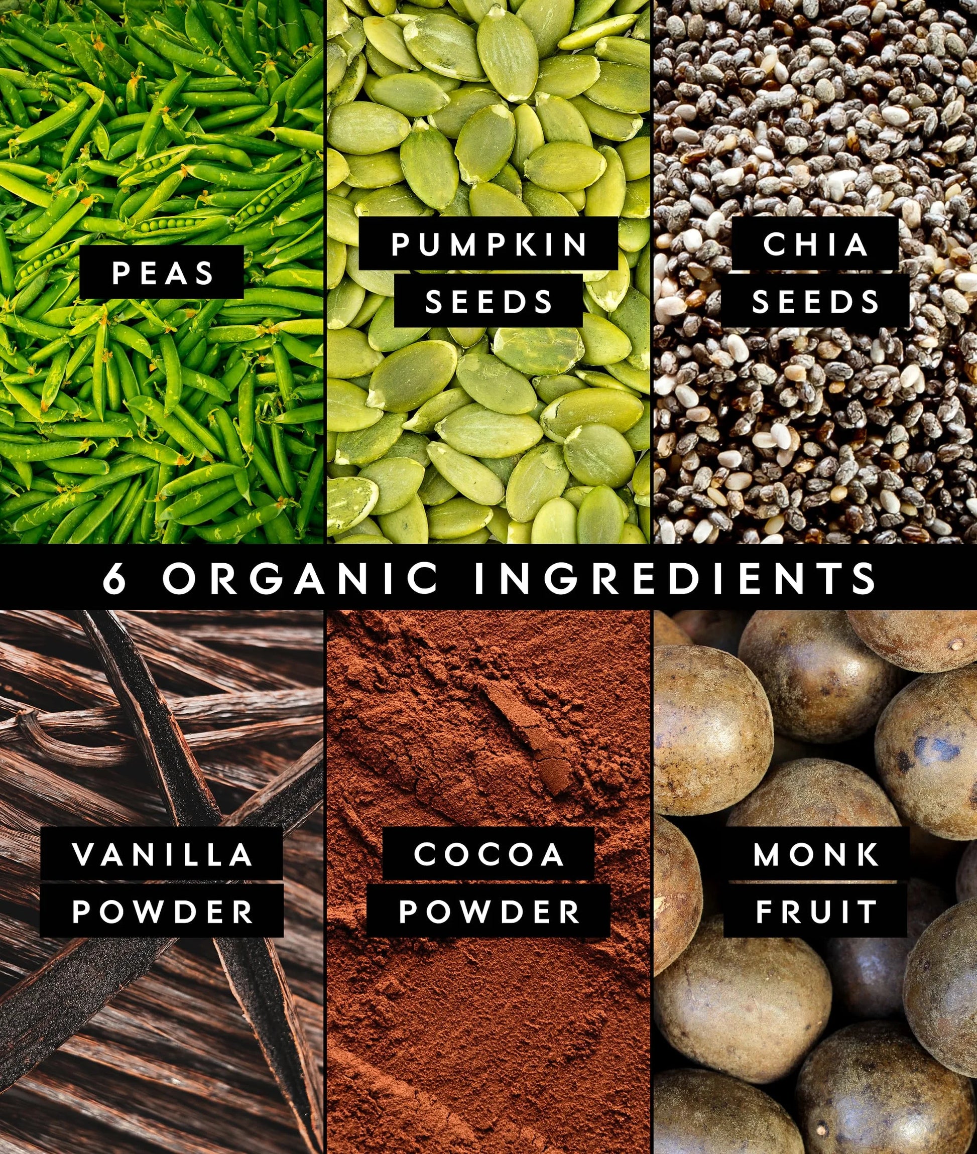 Vegan Pea Protein Powder | Chocolate | 20G Organic Plant Based Protein | 10 Servings | Keto | Gluten & Dairy Free | Low Carb | No Added Sugar