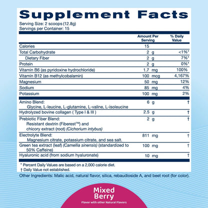 (2 Pack)  GLP-1 Support, Daily Replenisher, Supports Muscle Recovery, Digestive Health, Mixed Berry, 15 Servings