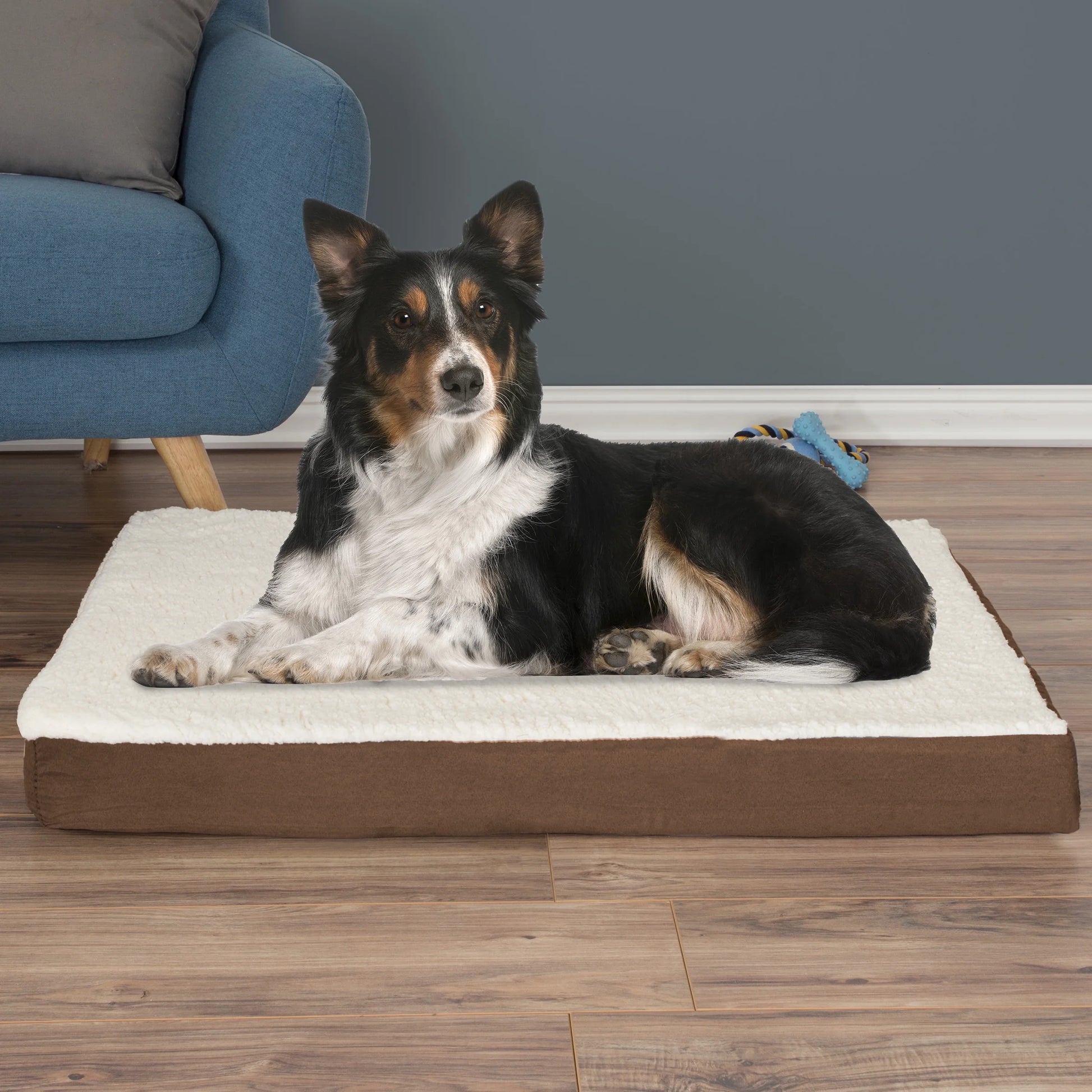 36X27 Orthopedic Dog Bed with Memory Foam and Sherpa Cover, Brown