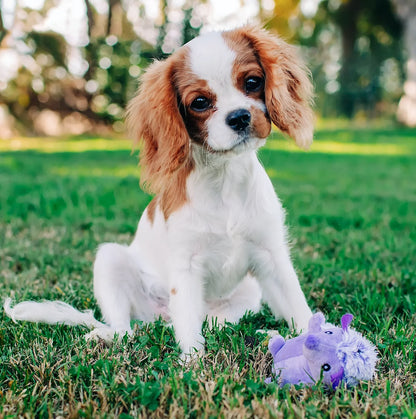 (3 Pack)  Mini Pet Plush Hedgehog Small Dog Toy with Squeaker, Purple