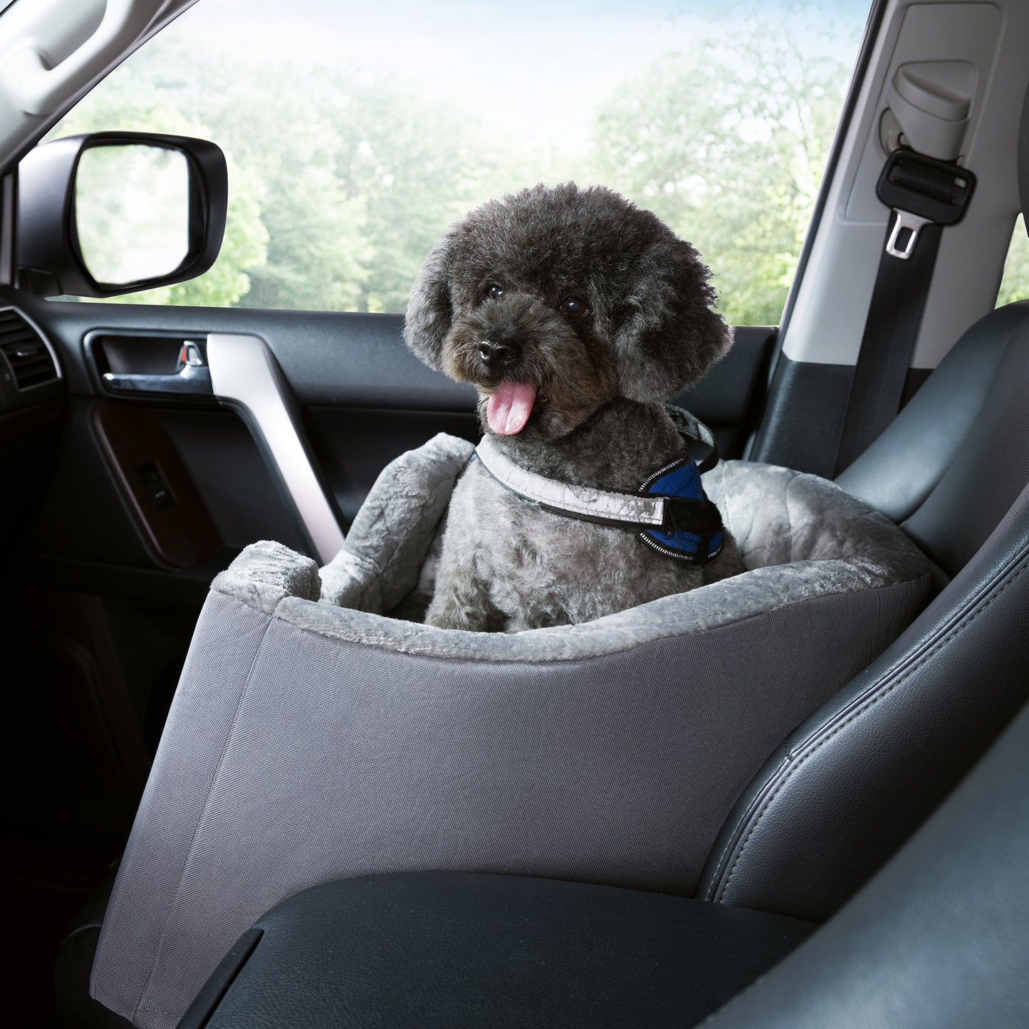 Yes Pets! by Arlee Home & Pet Booster Pet Car Seat