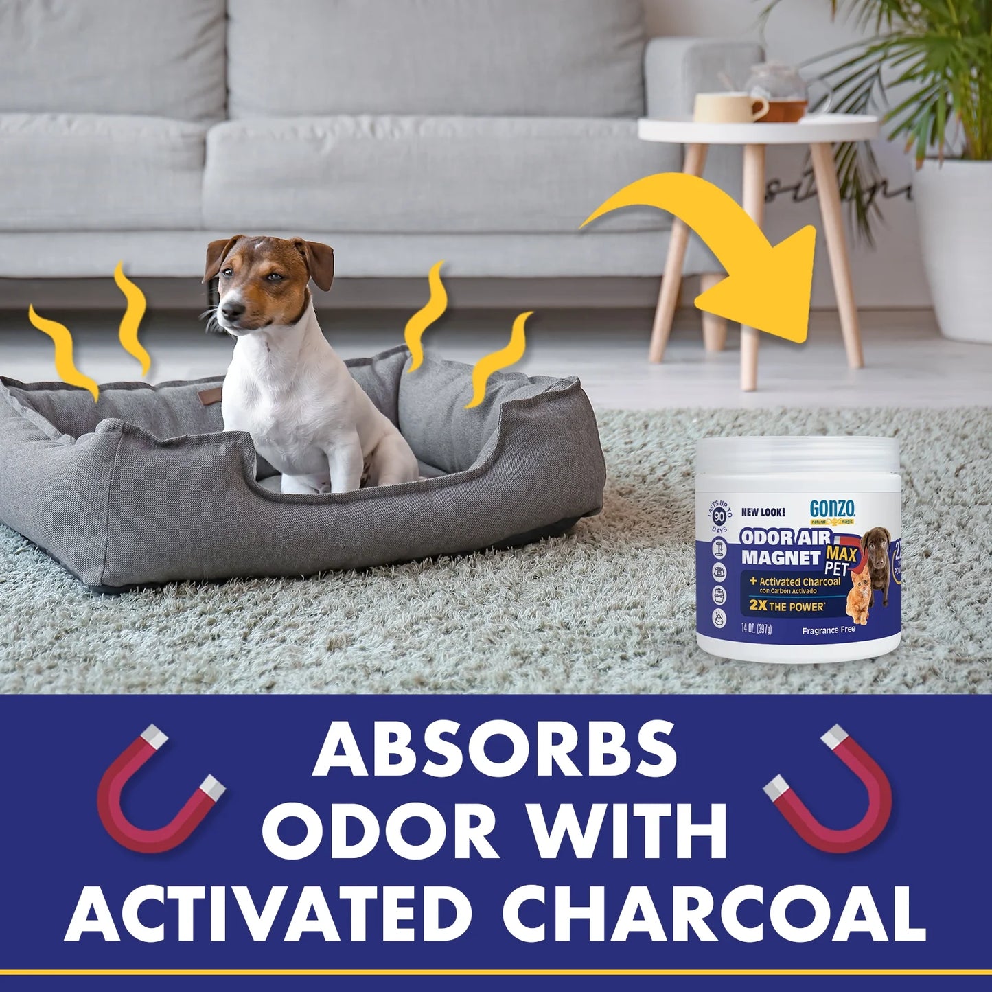 (2 Pack)  Pet Odor Air Magnet for Dogs and Cats, 14 Oz