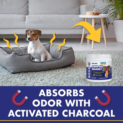 (2 Pack)  Pet Odor Air Magnet for Dogs and Cats, 14 Oz