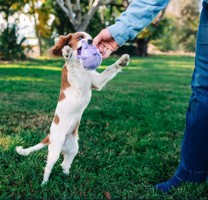 (3 Pack)  Mini Pet Plush Hedgehog Small Dog Toy with Squeaker, Purple