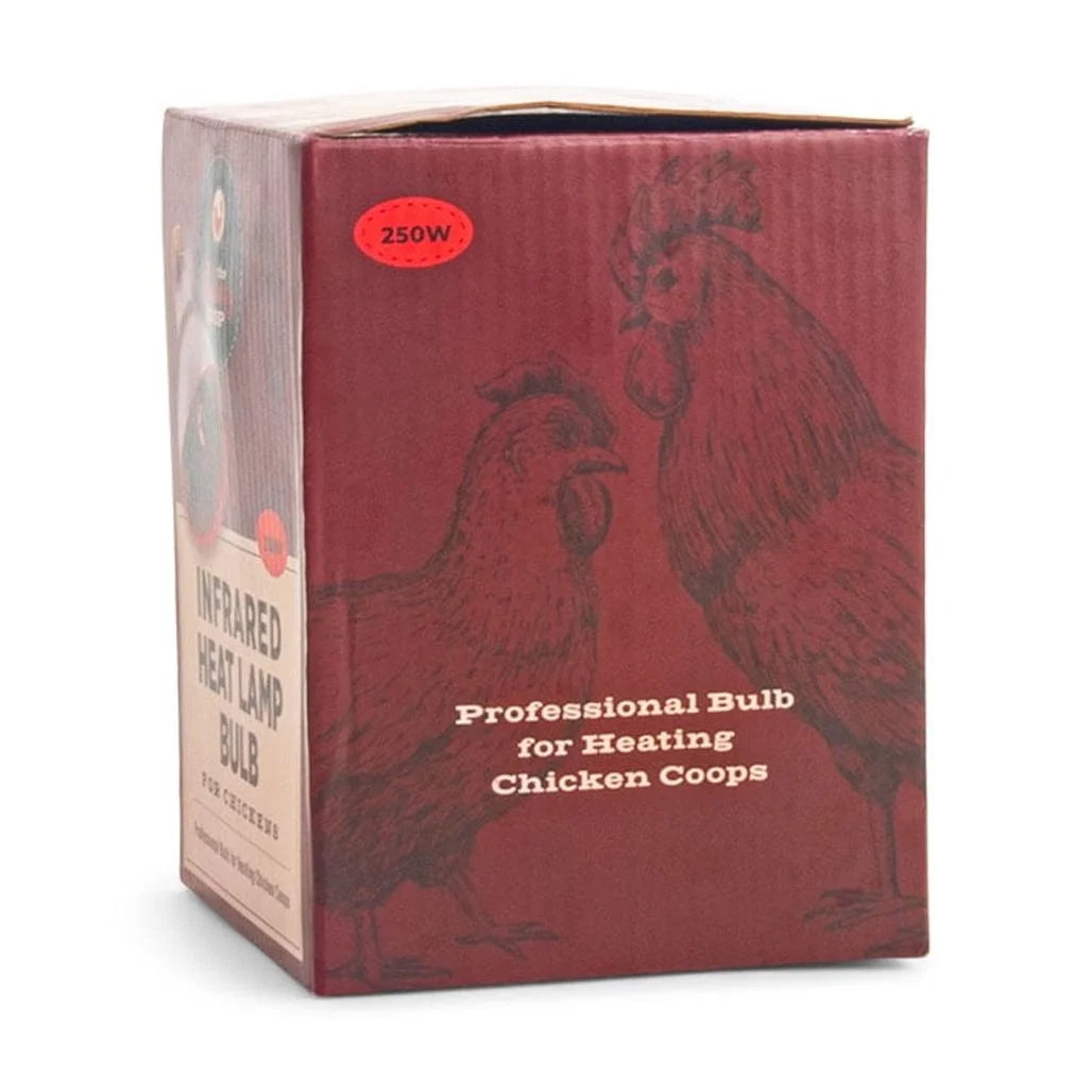 (2 Pack)  Culinary Coop Infrared Heat Lamp Glass Bulb 250 Watt