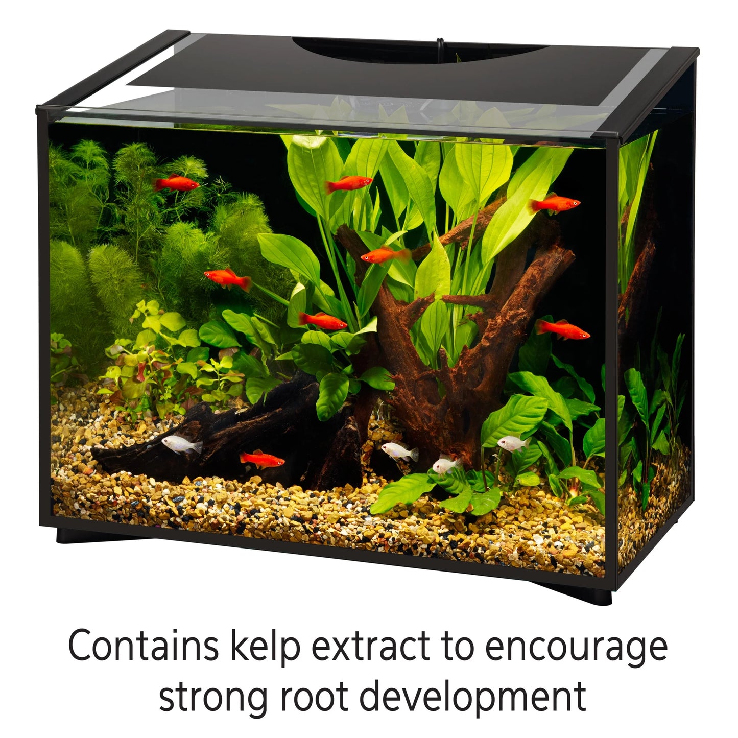 Plant Food 17.4 Ounces