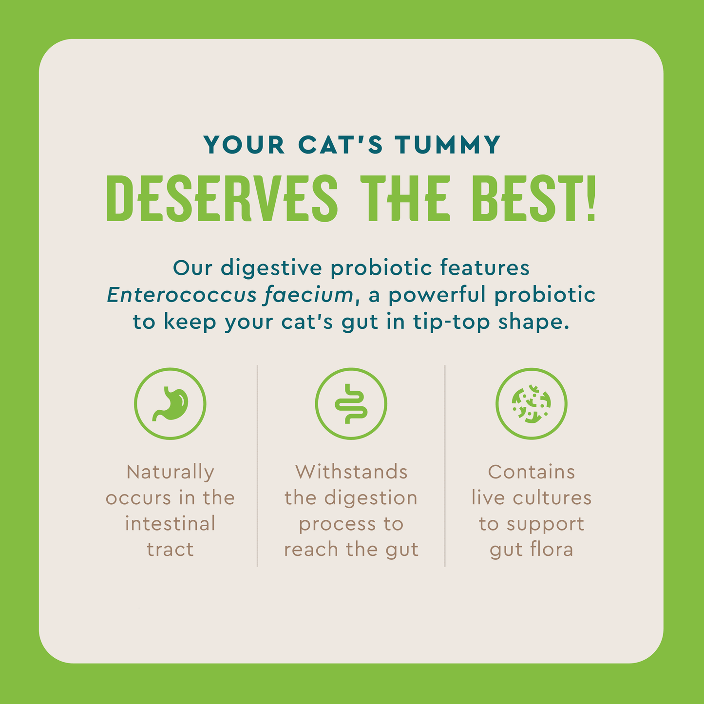 Probiotic Cat Powder Supplement for Digestive Health, 30 Packets