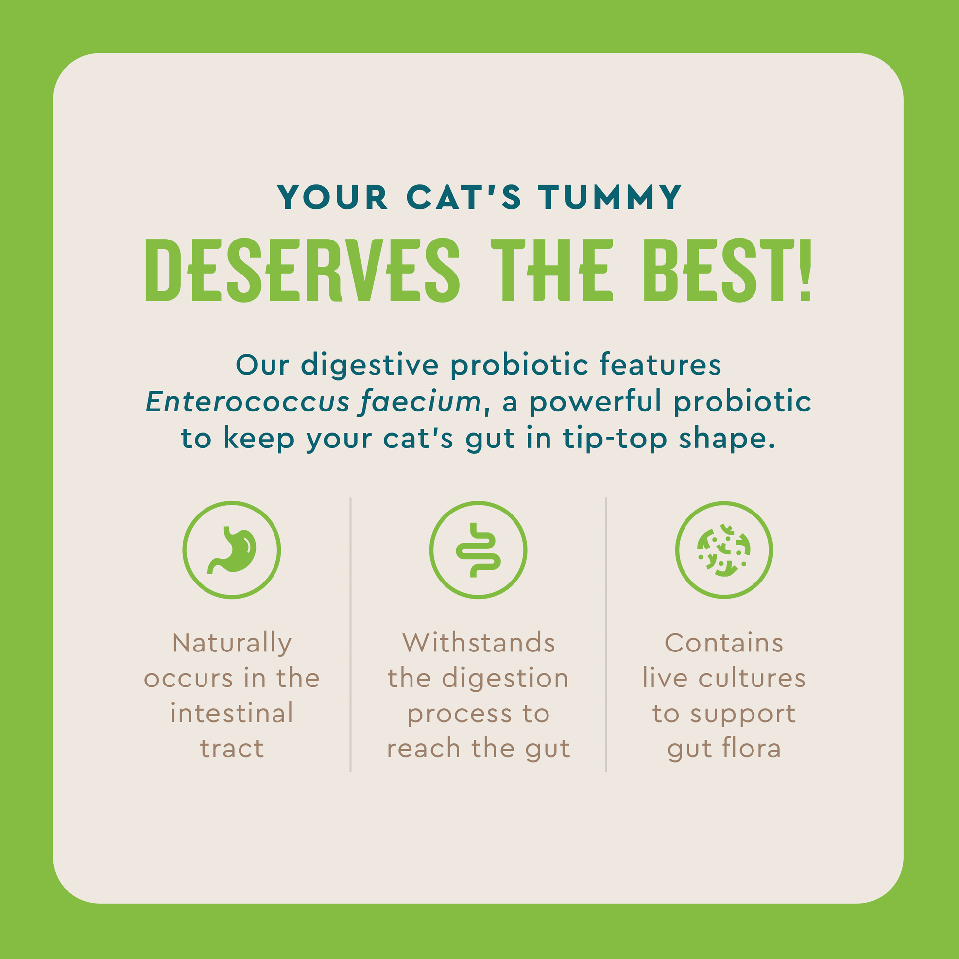 Probiotic Cat Powder Supplement for Digestive Health, 30 Packets