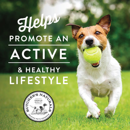 Salmon Flavor Jerky Treats for Dogs, 16 Oz