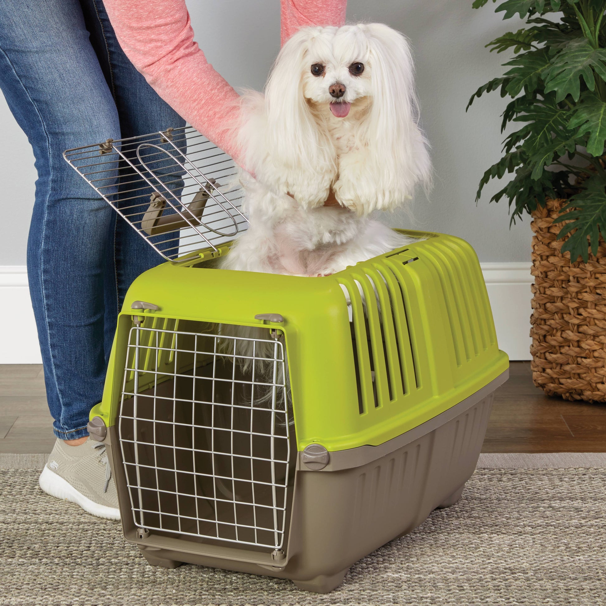 24 Inch Top Door Spree Travel Pet Carrier for Dog/Cat with Steel Door, Green