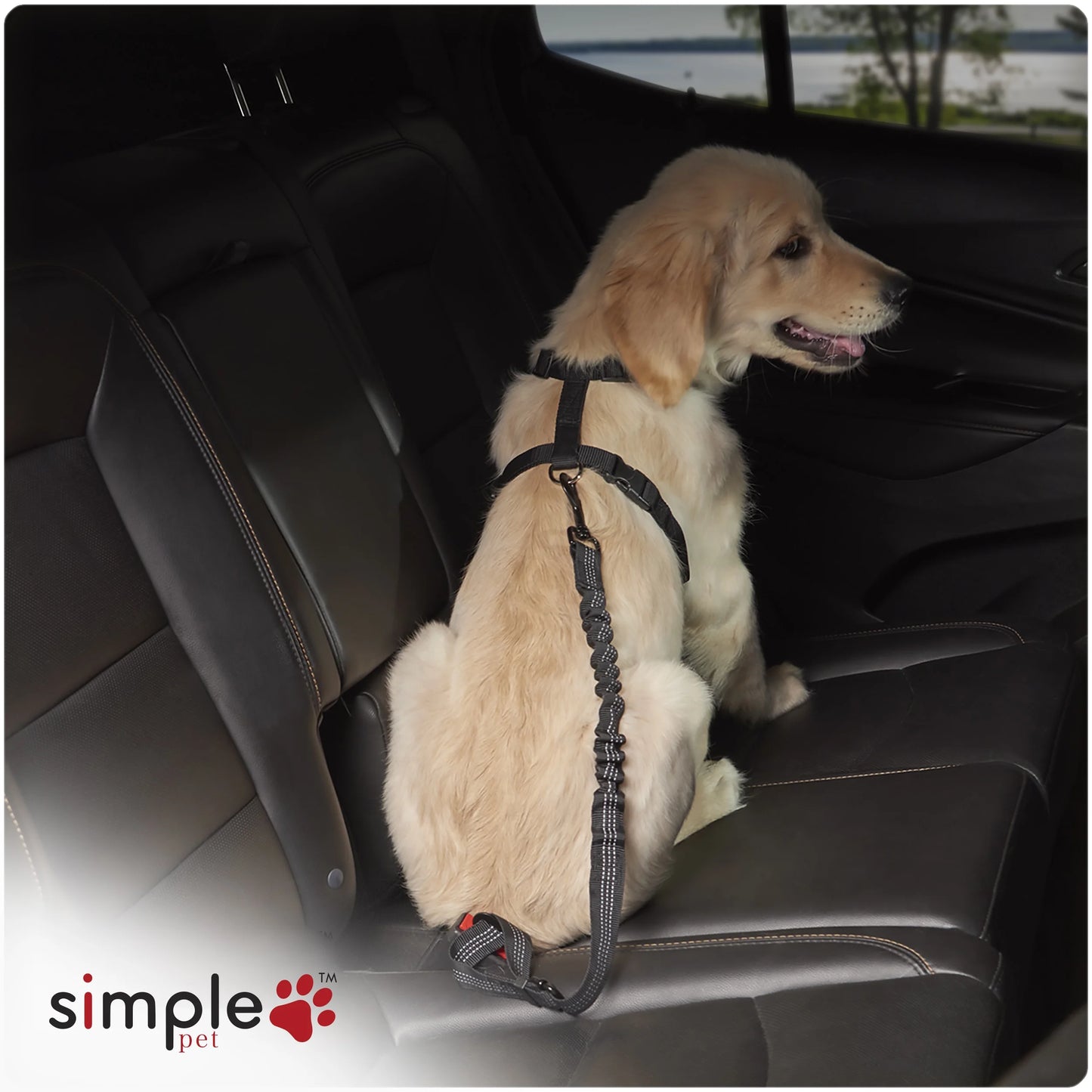 (3 Pack)  Adjustable Pet Seat Belt, Black, Material - Nylon, Harness Type - Direct to Seatbelt Swivel Tether.