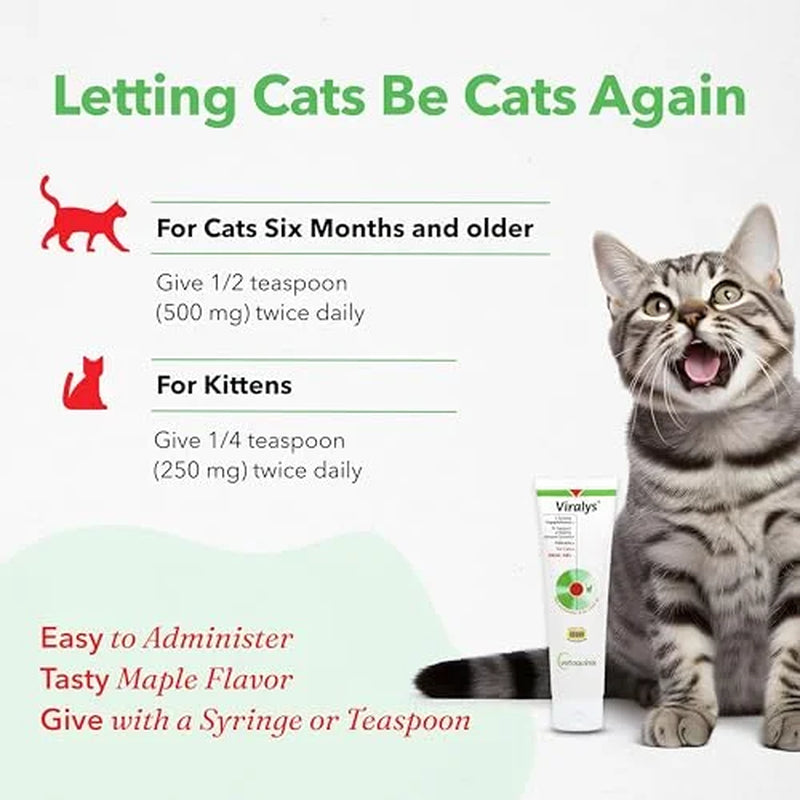 Viralys Gel L-Lysine Supplement for Cats, 5Oz - Cats & Kittens of All Ages - Immune Health - Sneezing, Runny Nose, Squinting, Watery Eyes - Palatable Maple Flavor Lysine Gel