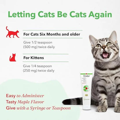 Viralys Gel L-Lysine Supplement for Cats, 5Oz - Cats & Kittens of All Ages - Immune Health - Sneezing, Runny Nose, Squinting, Watery Eyes - Palatable Maple Flavor Lysine Gel