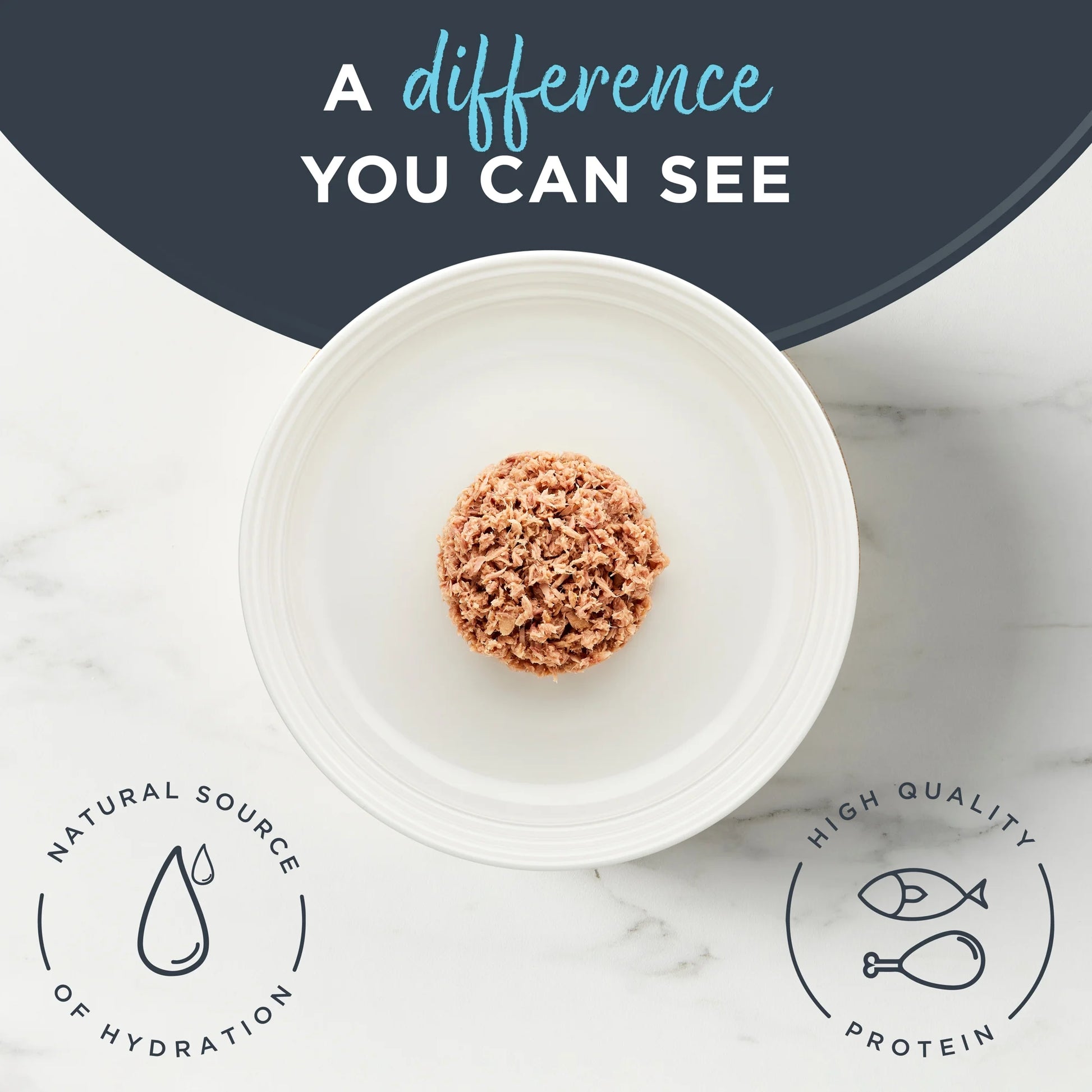 Wet Kitten Food, Tuna Fillet in Broth, 12 Pack of 2.47Oz Cans