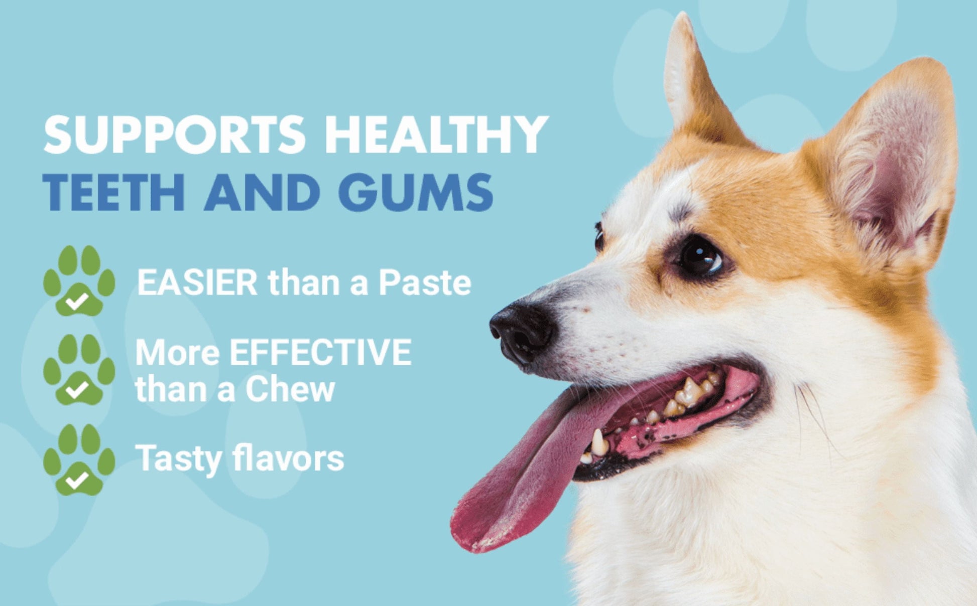 Teeth Gums Tartar Breath Oral Dental Health Supplement for Dogs, Bacon, 16 Oz.