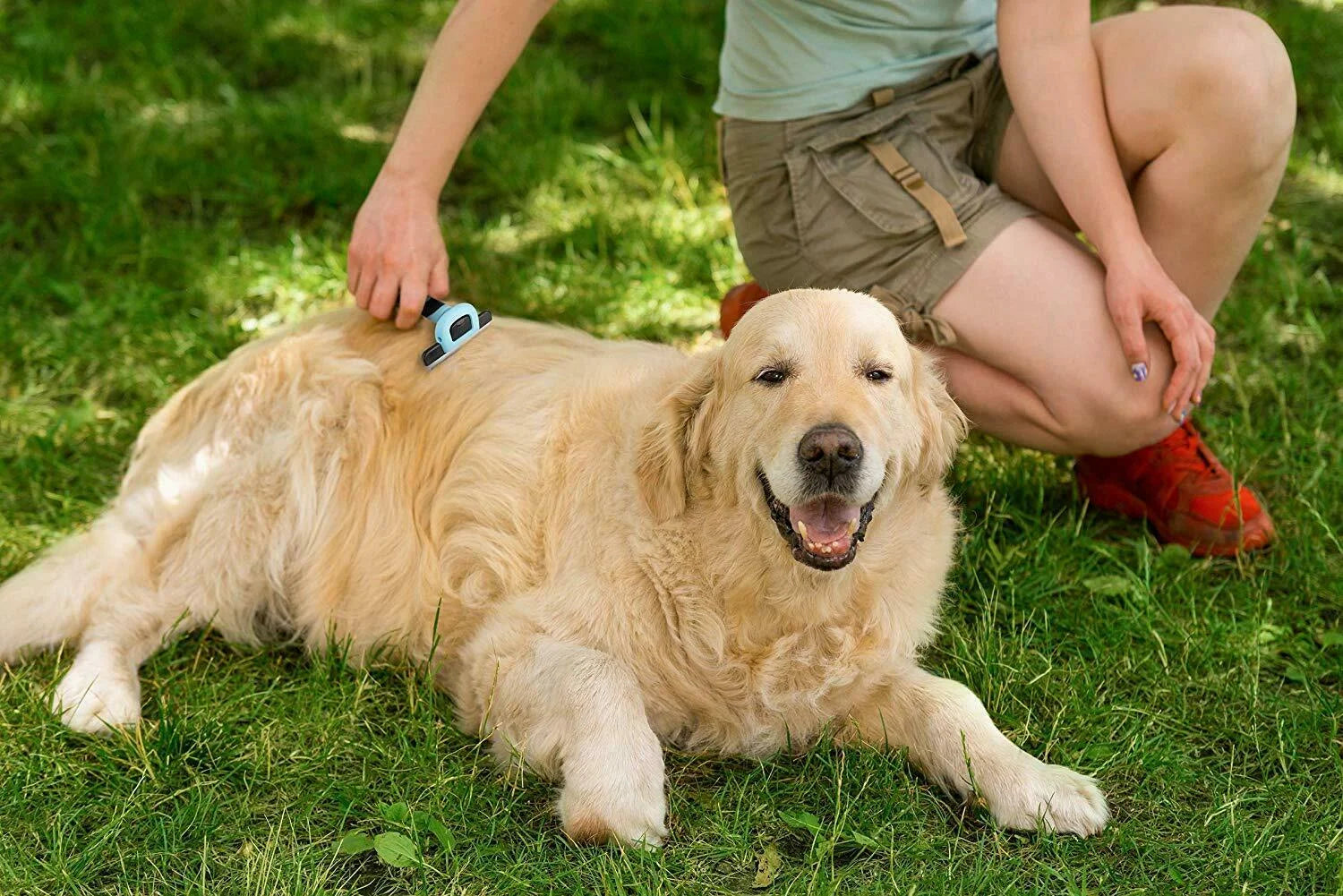 Professional Pet Brush - Grooming and Deshedding Tool for Cats and Dogs